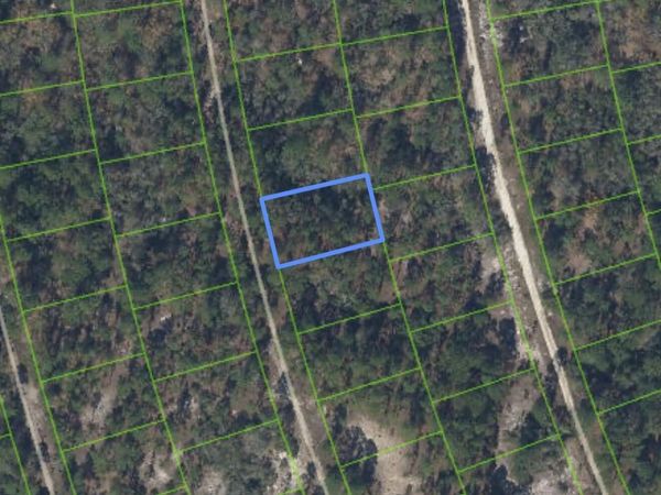 213 SUNFLOWER Drive, Lake Placid, FL 33852