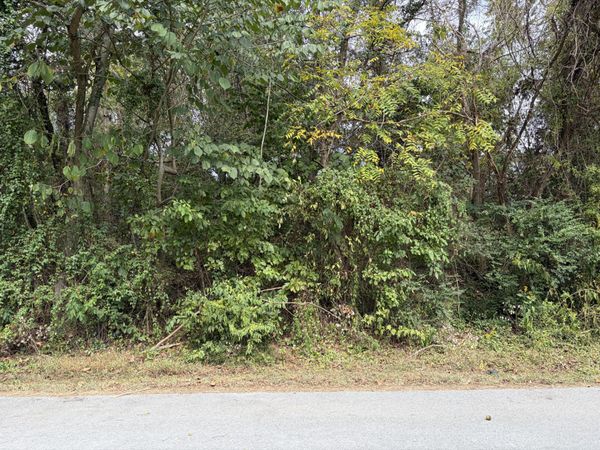 Lot 63 &64 Rita Court, Bean Station, TN 37708