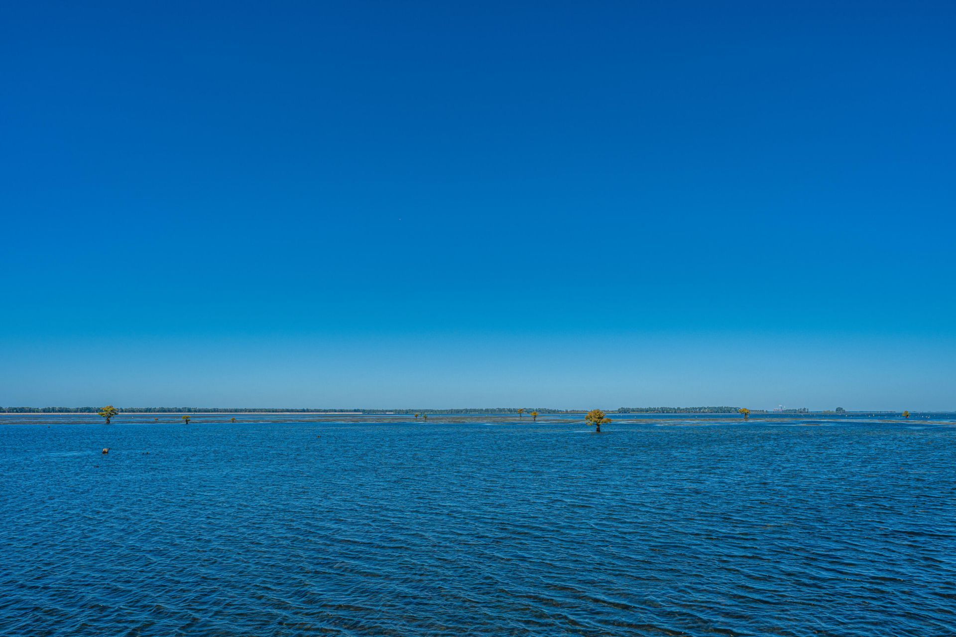 123 Waters Edge Lane Photo 28