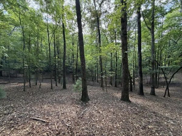 LOT 556 Satsuma Court, Ellijay, GA 30540