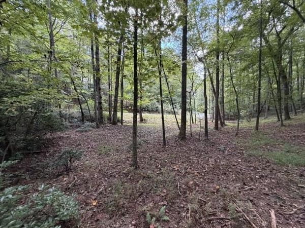 LOT 133 Seneca Drive, Ellijay, GA 30540