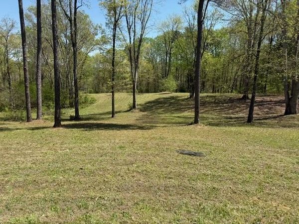 534 Whitney Branch Rd , Springville, TN 38256