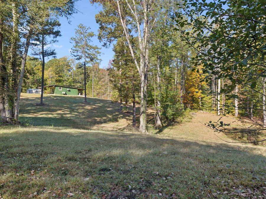 Property Image 38