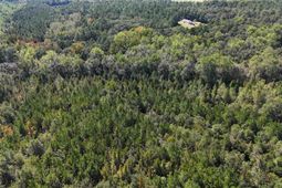 1754 Brewer Springs Road  photo 4