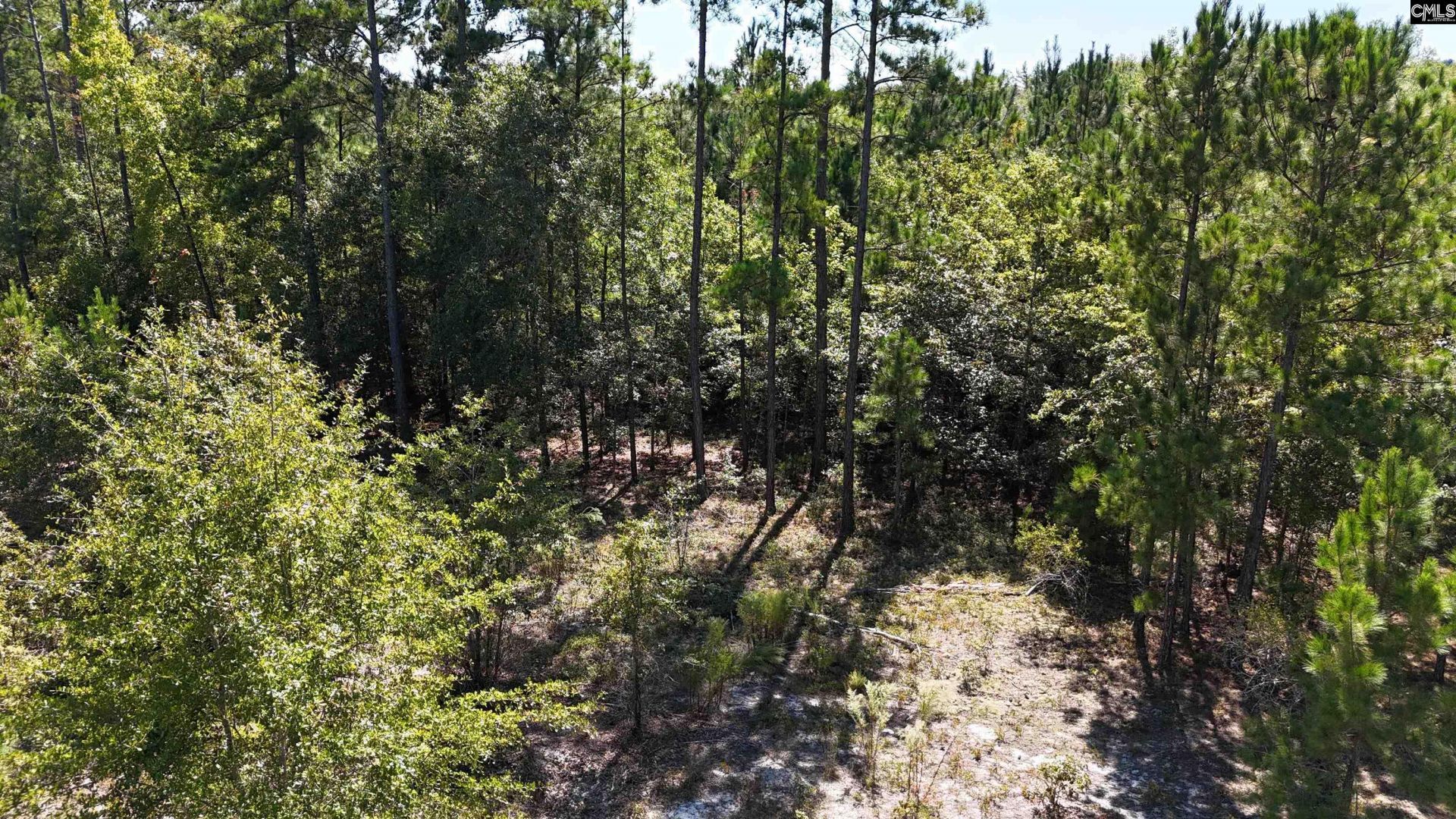 1754 Brewer Springs Road  Photo 5