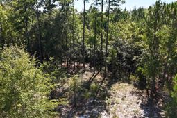1754 Brewer Springs Road  photo 4