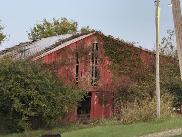 5.06 Acres Snake Lick Rd (Cr-1047) Road, Berry, KY 41003