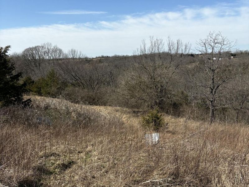 5.06 Acres Snake Lick Rd (Cr-1047) Road, Berry, KY 41003 Photo 3