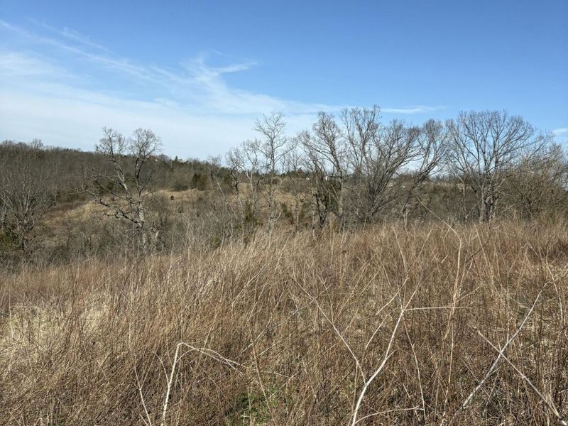 5.06 Acres Snake Lick Rd (Cr-1047) Road, Berry, KY 41003 Photo 4