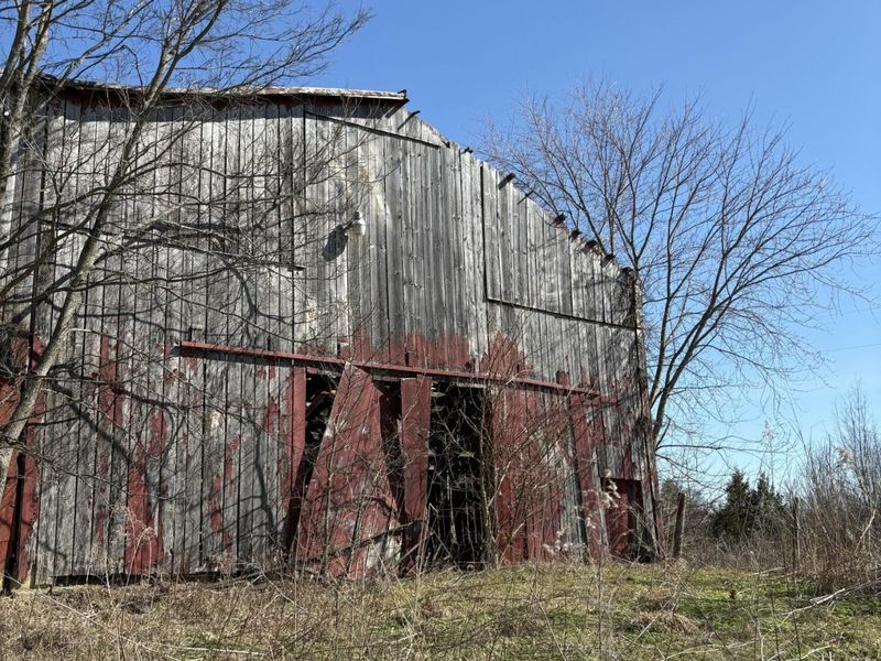 5.06 Acres Snake Lick Rd (Cr-1047) Road, Berry, KY 41003 Photo 5