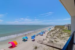 9002 Palmetto Drive photo 4