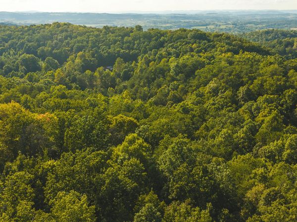 8.62 AC Stone Mountain Road, Bulls Gap, TN 37711