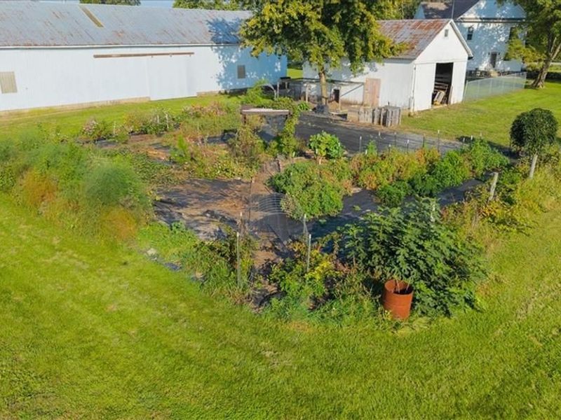 7361 State Route 121, Greenville Township, OH 45331 Photo 59