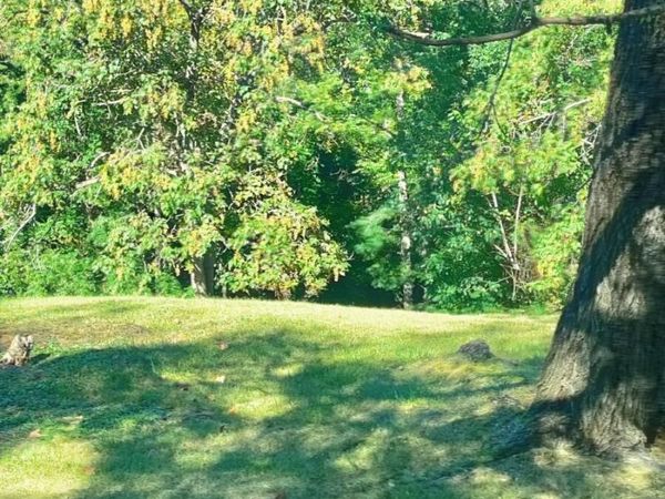 0 Diamond Hill RD, Moneta, VA 24121