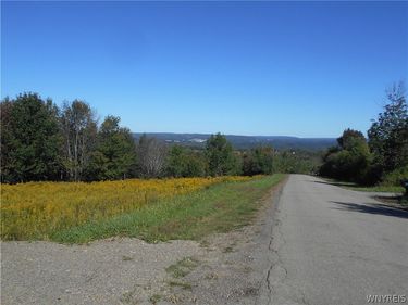 0 Dutch Hill Rd, Lot #1, West Valley, NY 14171