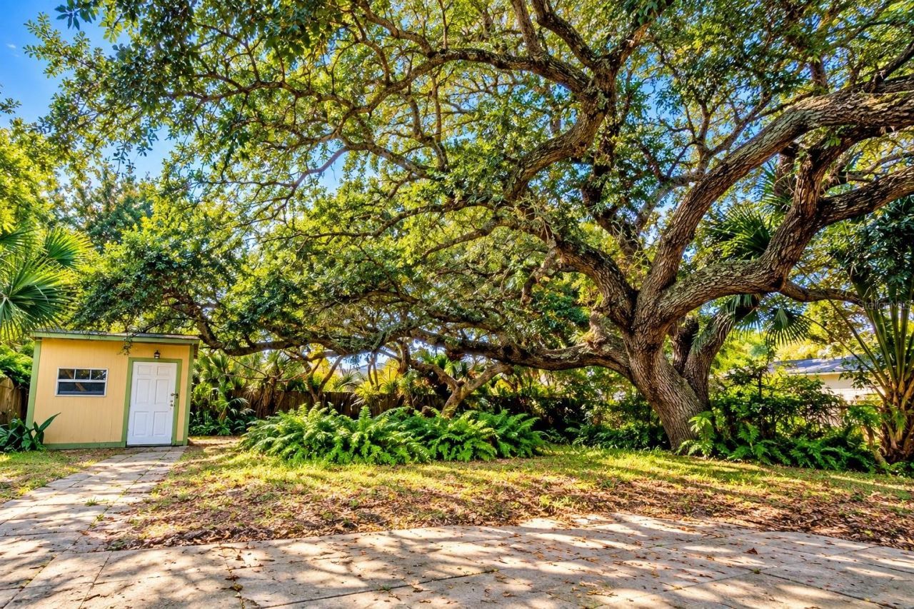 824 E 9th Avenue, New Smyrna Beach, FL 32169 Photo