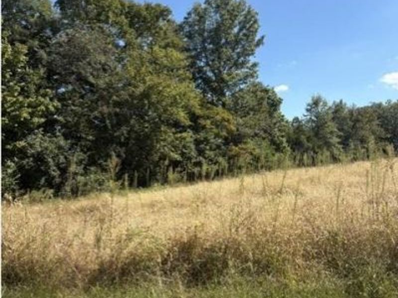 1 Roachester Cozaddale Road, Harlan Township, OH 45162 Photo 5