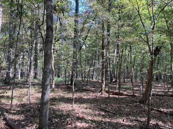 Boswell Road , Okolona, AR 71962