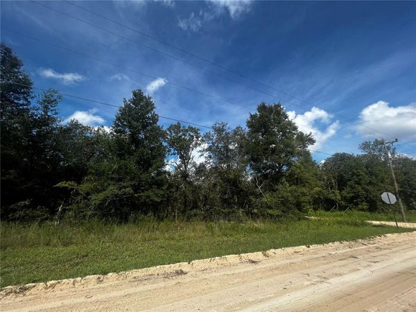 00 NE 115TH AVE , WILLISTON, FL 32696