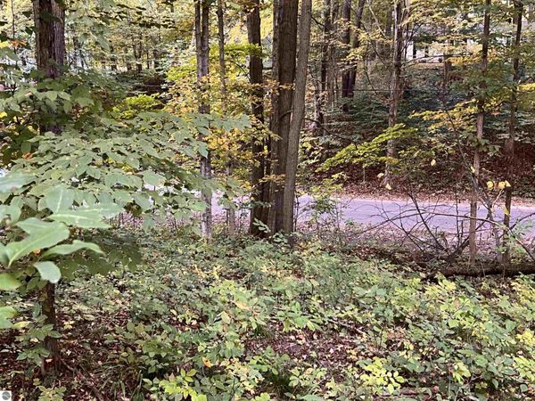 71 Birch View Trail, Lake Ann, MI 49650