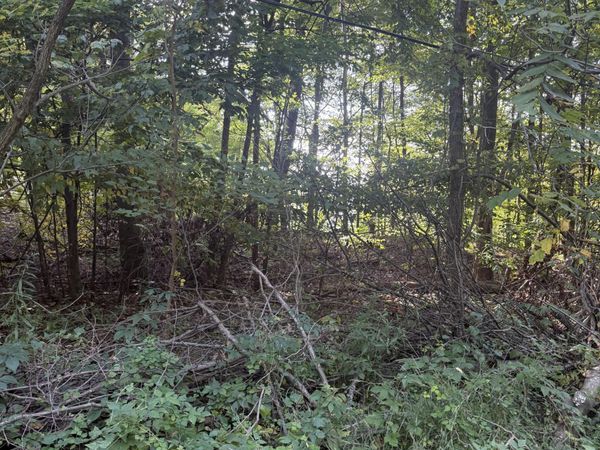 Doster Road, Plainwell, MI 49080