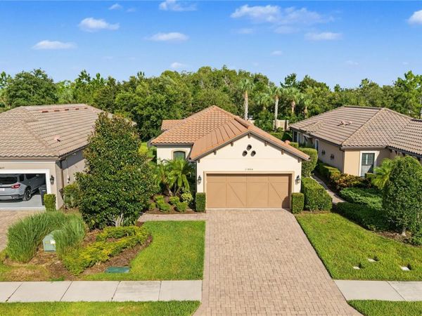 11435 CALLISIA DRIVE , ODESSA, FL 33556