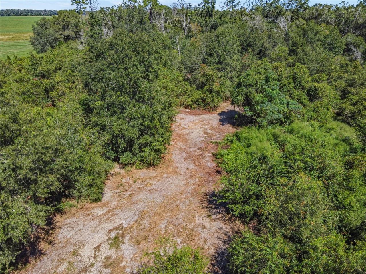 4710 SW 22nd Avenue , Bell, FL 32619 Photo