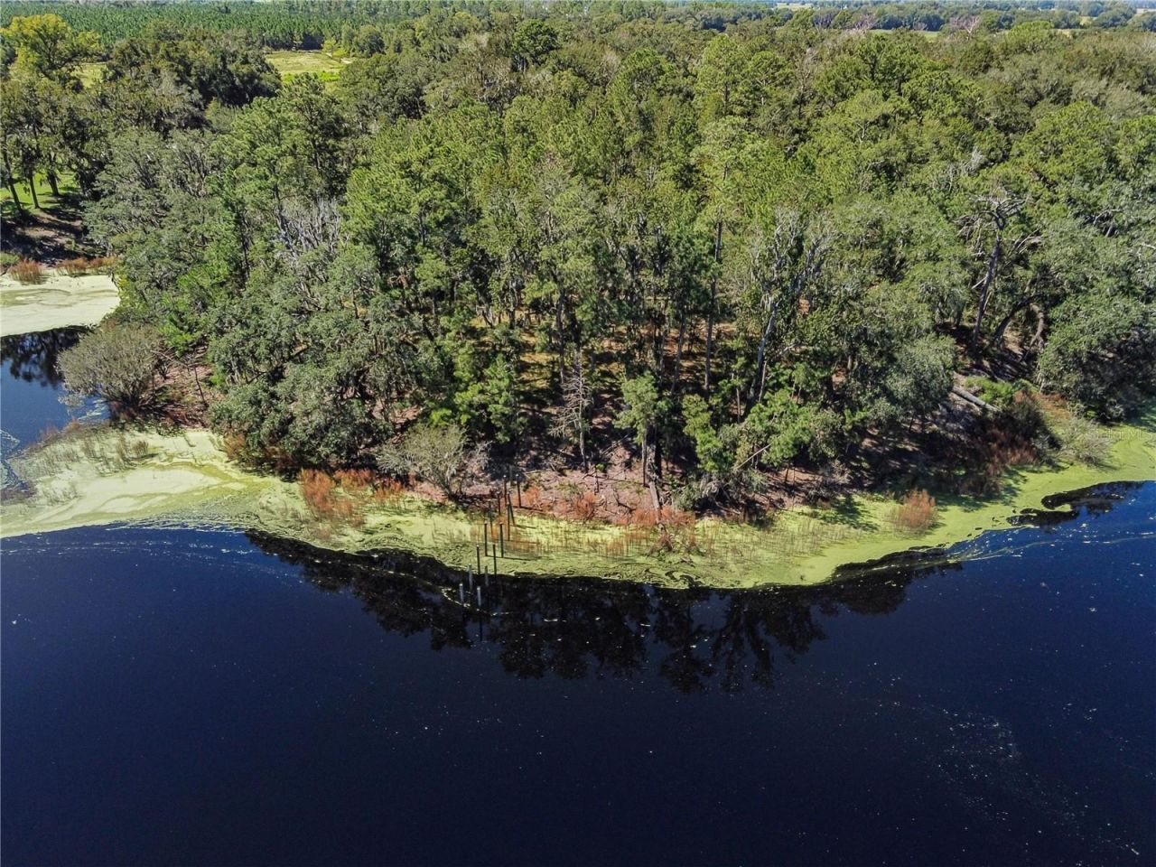 4710 SW 22nd Avenue , Bell, FL 32619 Photo