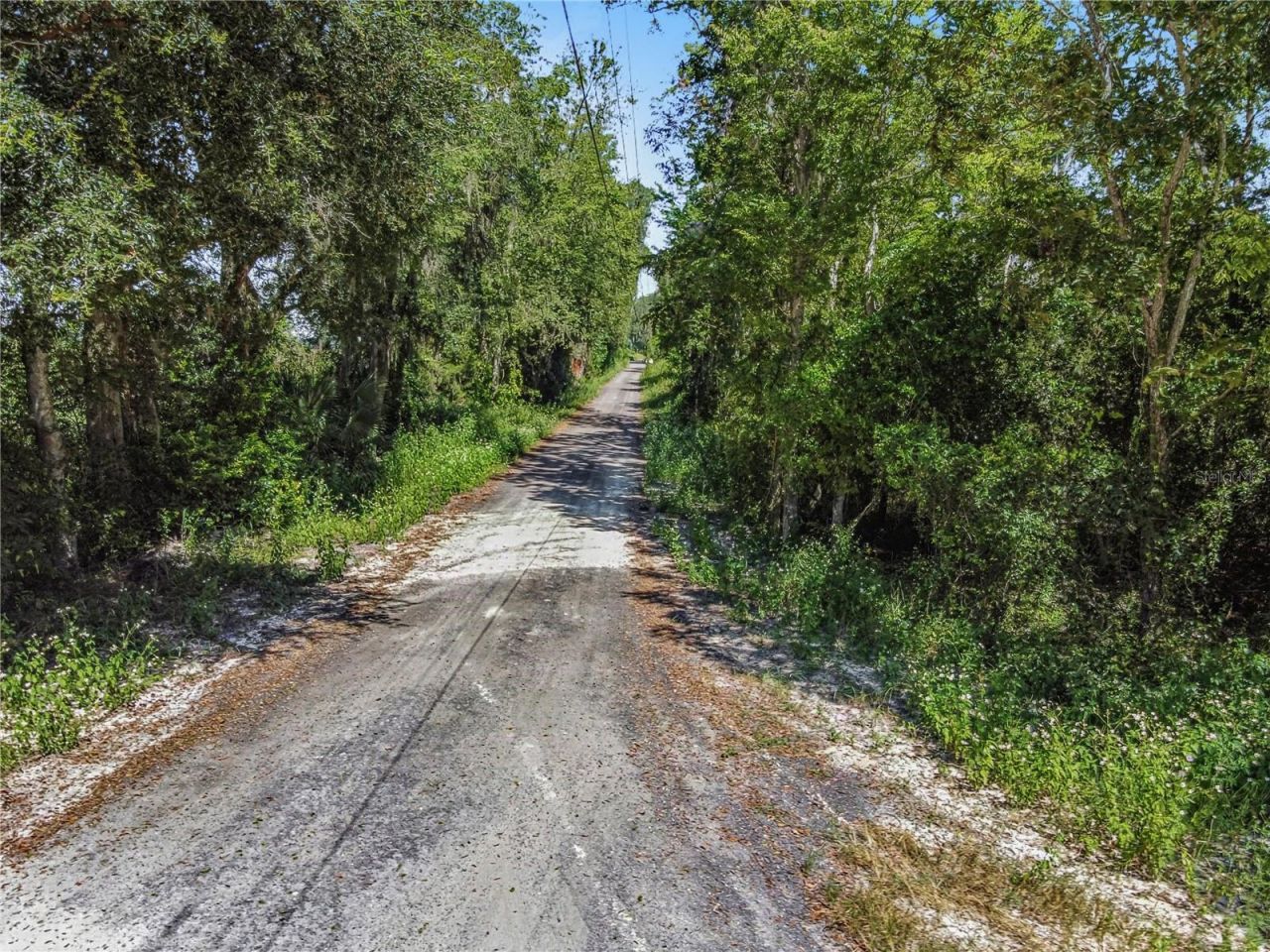 4710 SW 22nd Avenue , Bell, FL 32619 Photo