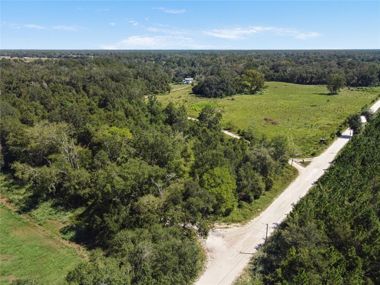 4710 SW 22nd Avenue , Bell, FL 32619 Photo