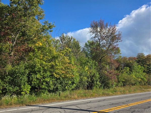 V/L Pleasant Avenue , Hamburg, NY 14075