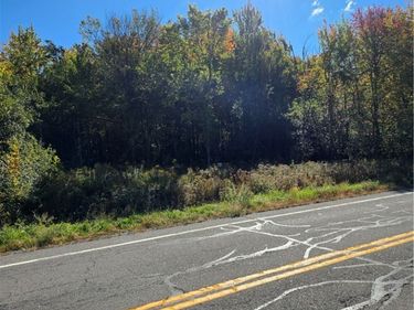 V/L Pleasant Avenue, Hamburg, NY 14075