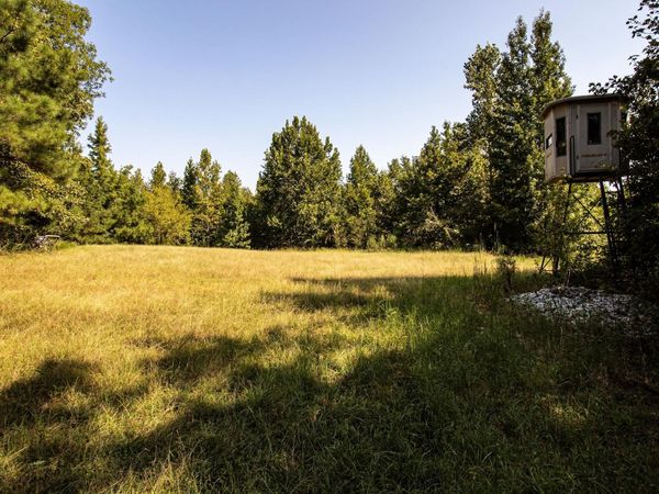 0 350 HWY, Counce, TN 38326