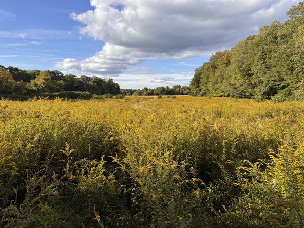 30V-Lot 1 Red Bridge Rd, Wilbraham, MA 01095