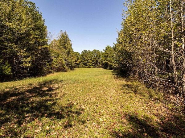 0 125 HWY, Toone, TN 38381