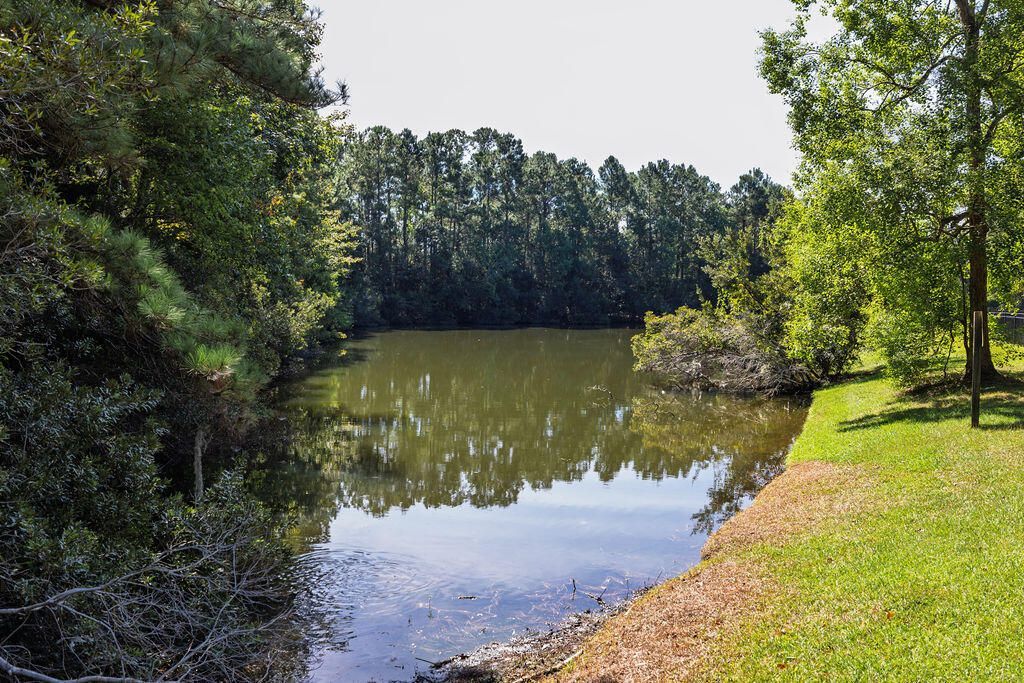 1044 Black Rush Circle Photo 55