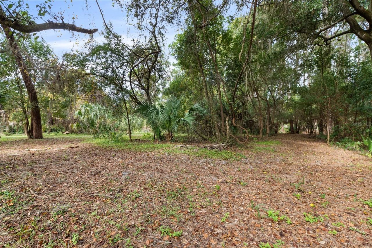 2373 Keystone Road, Tarpon Springs, FL 34688 Photo