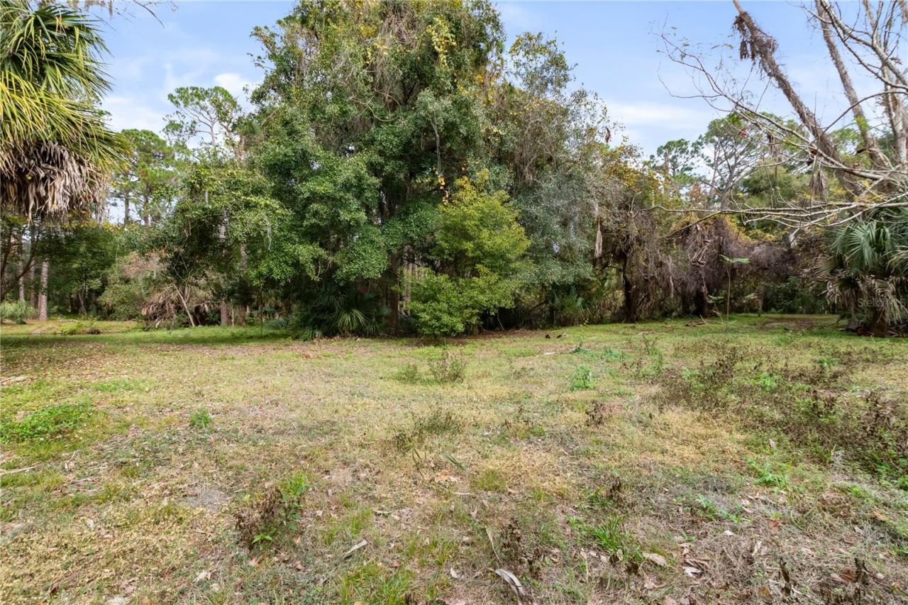 2373 Keystone Road, Tarpon Springs, FL 34688 Photo