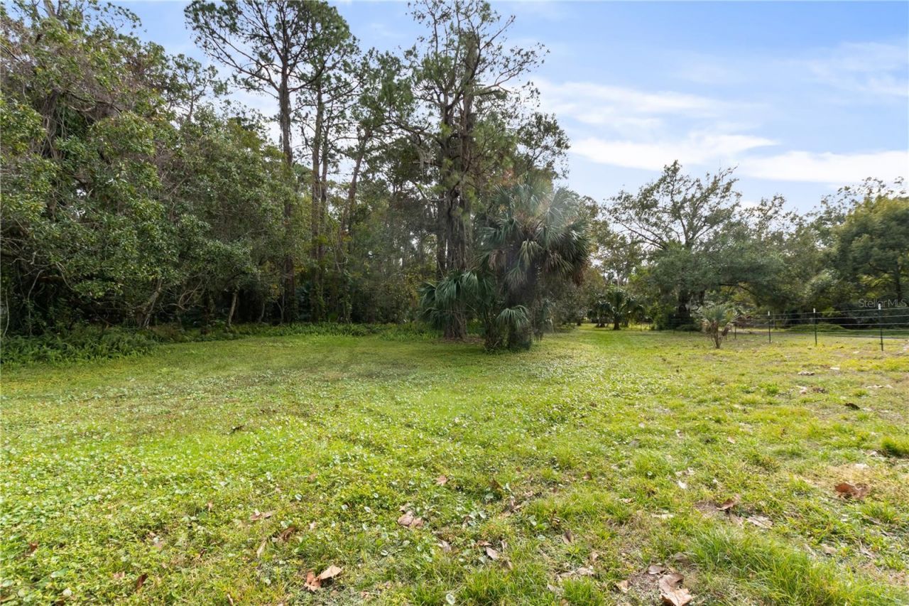 2373 Keystone Road, Tarpon Springs, FL 34688 Photo