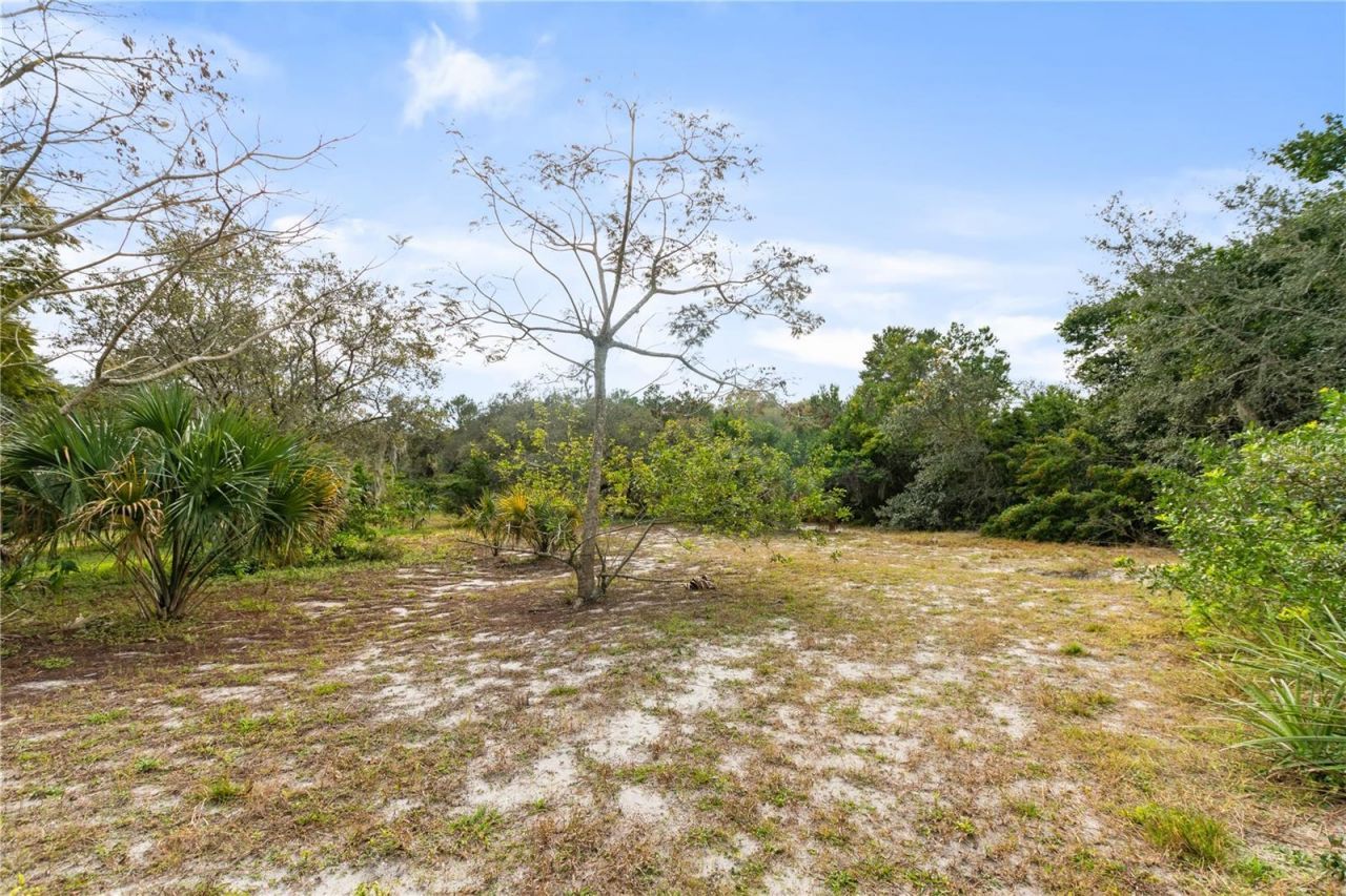 2373 Keystone Road, Tarpon Springs, FL 34688 Photo