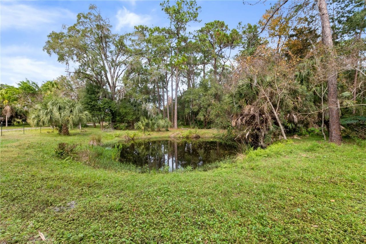 2373 Keystone Road, Tarpon Springs, FL 34688 Photo