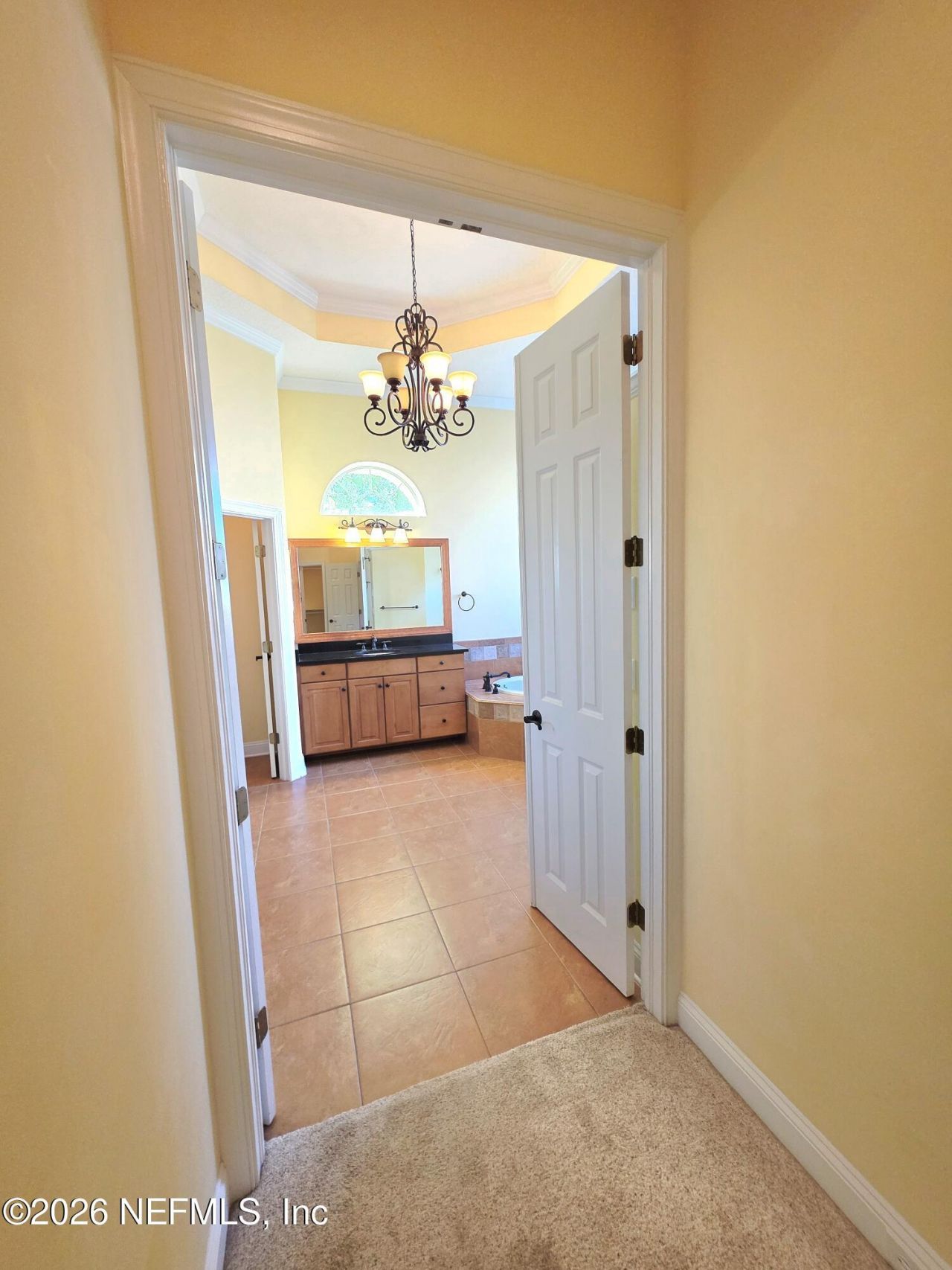 2723 Shade Tree Drive, Fleming Island, FL 32003 Photo
