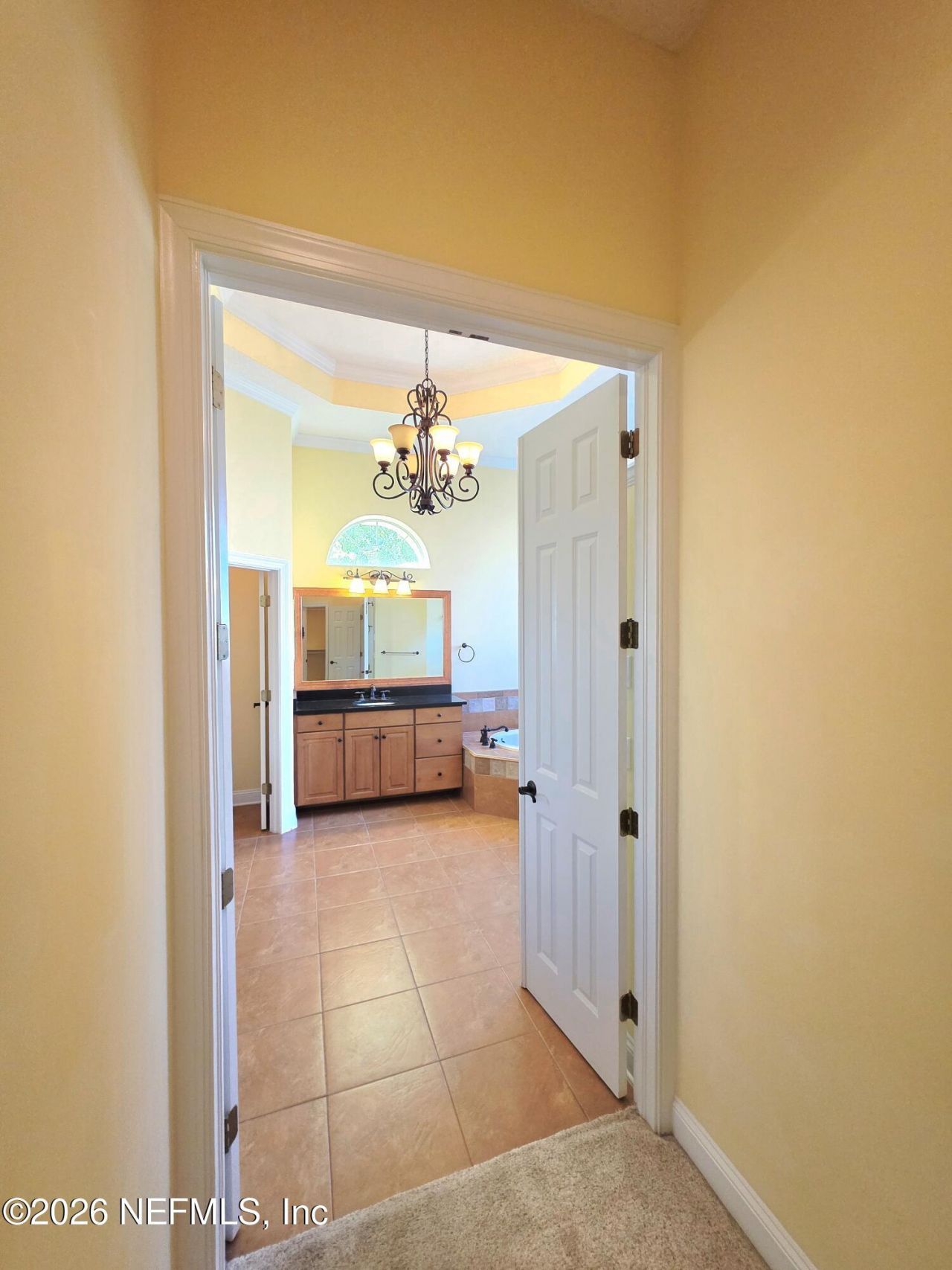 2723 Shade Tree Drive, Fleming Island, FL 32003 Photo