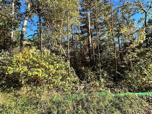 TBD Edna Lake Road, Nisswa, MN 56468
