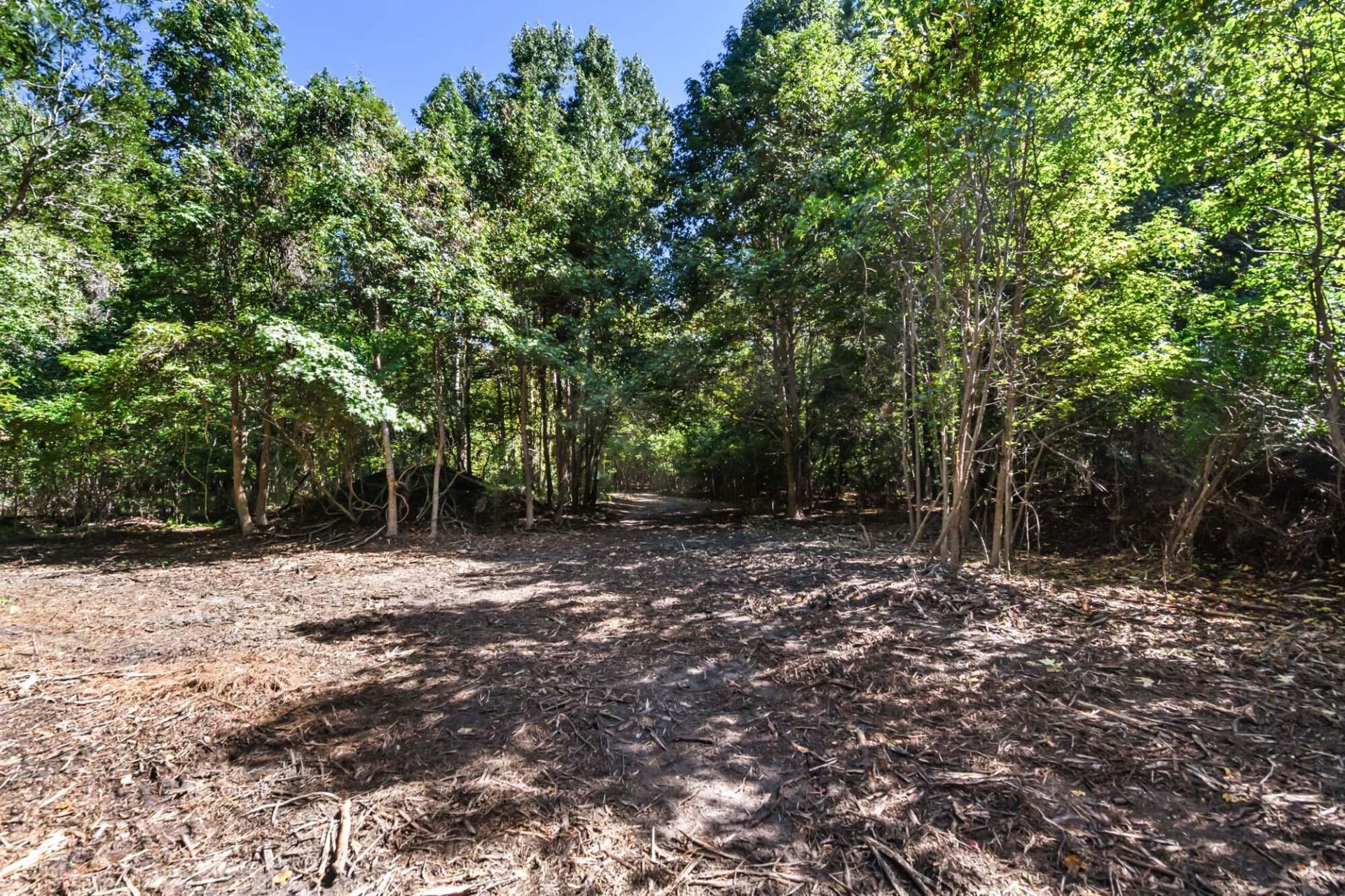 3745 Humbert Road Photo 10
