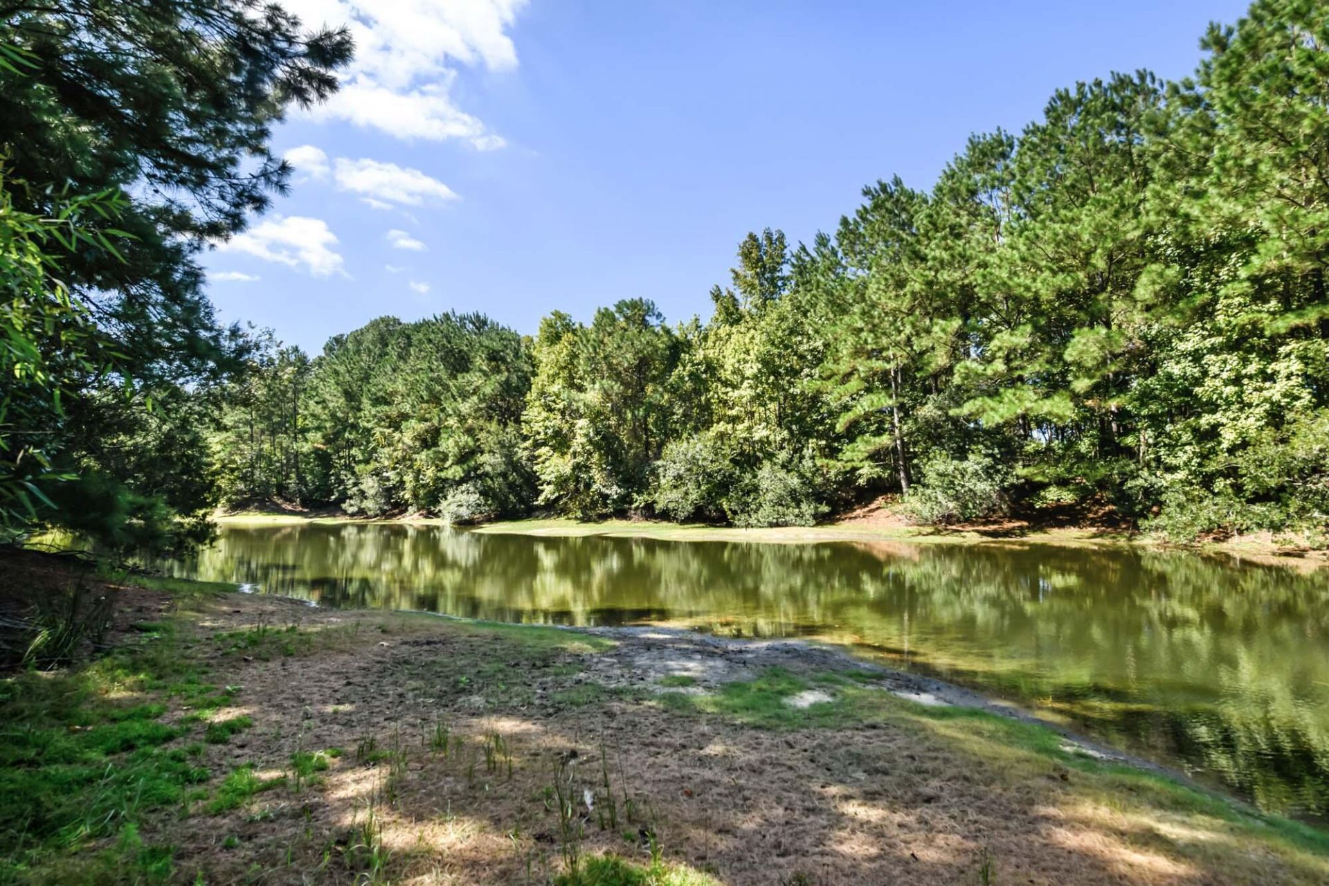 3745 Humbert Road Photo 12