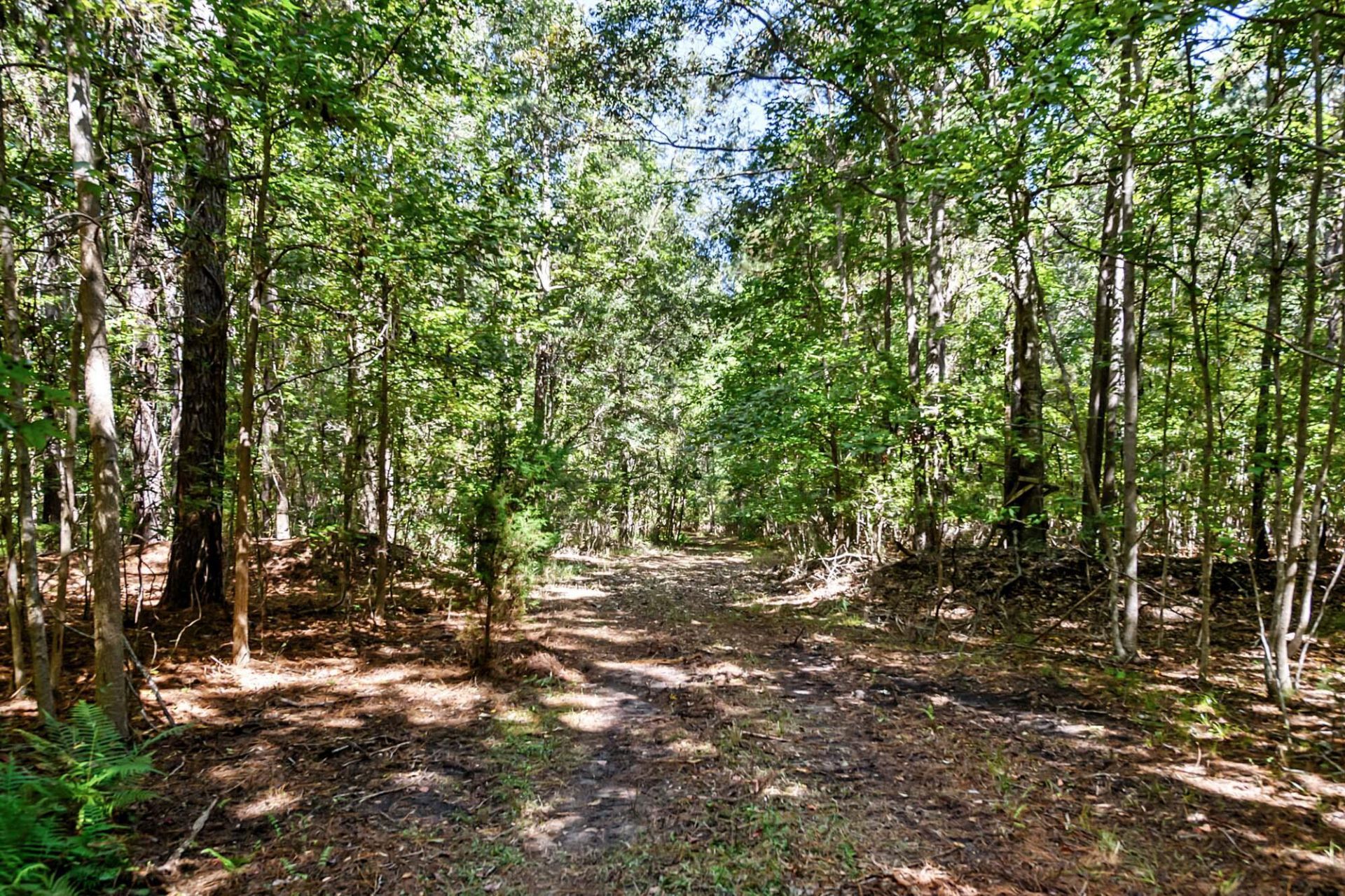 3745 Humbert Road Photo 13