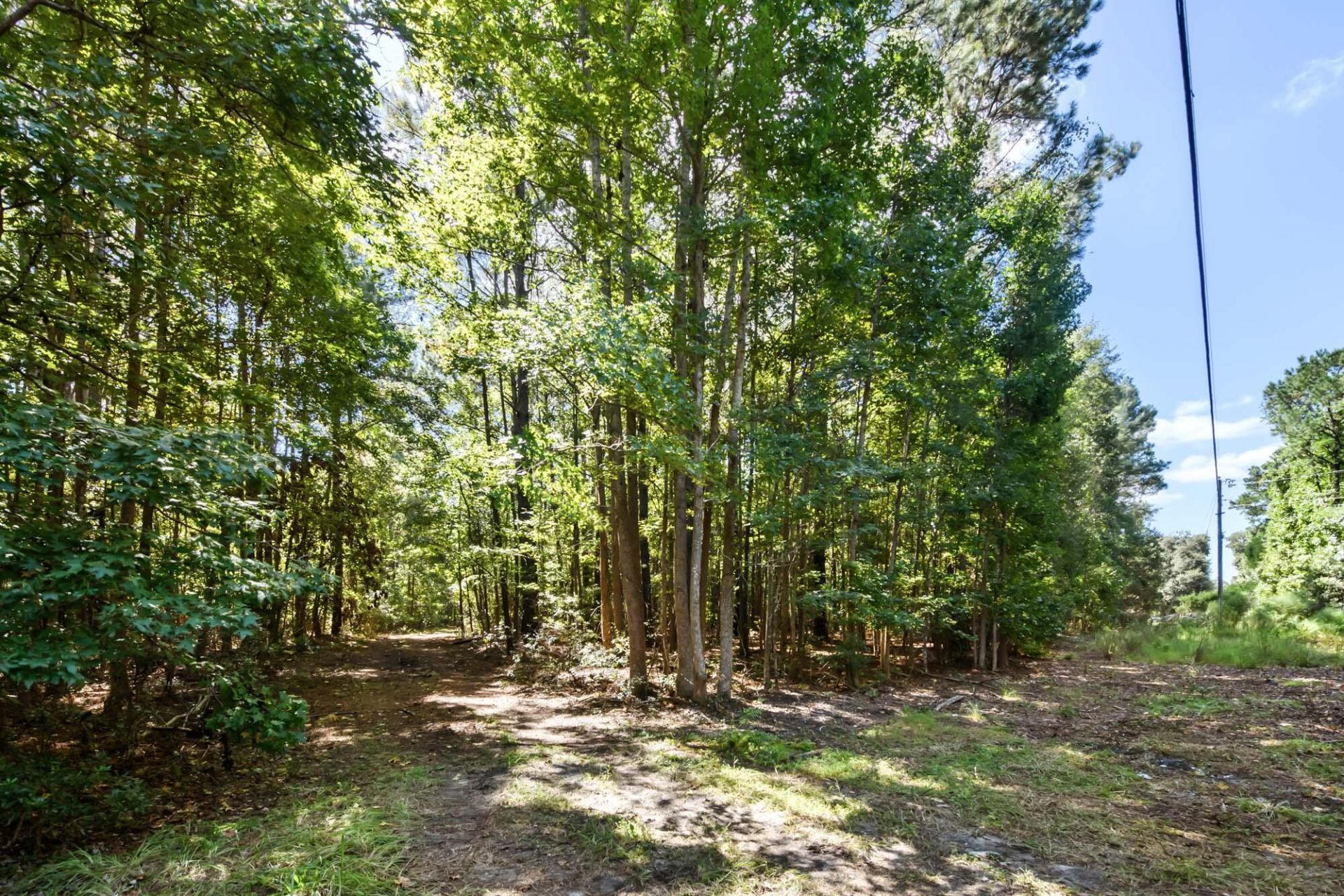 3745 Humbert Road Photo 15