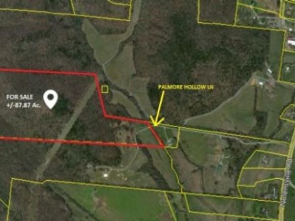 0 Palmore Hollow Lane , Nolensville, TN 37135