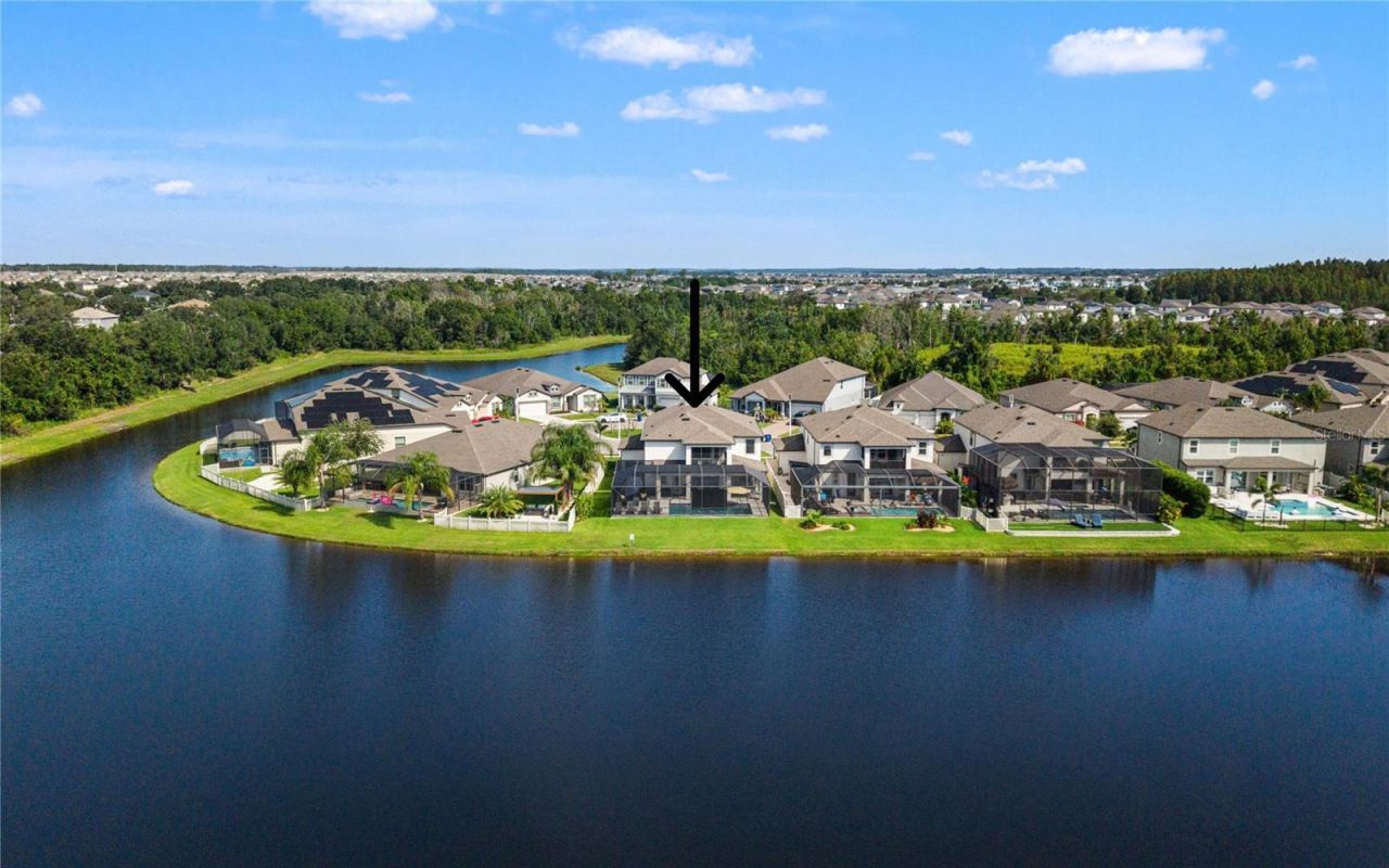 31512 Colada Drift Way, Wesley Chapel, FL 33545 Photo